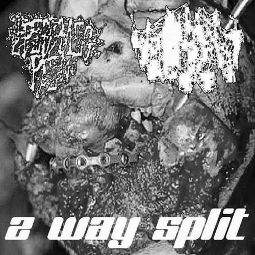 Epidemic Pain : Epidemic Pain -